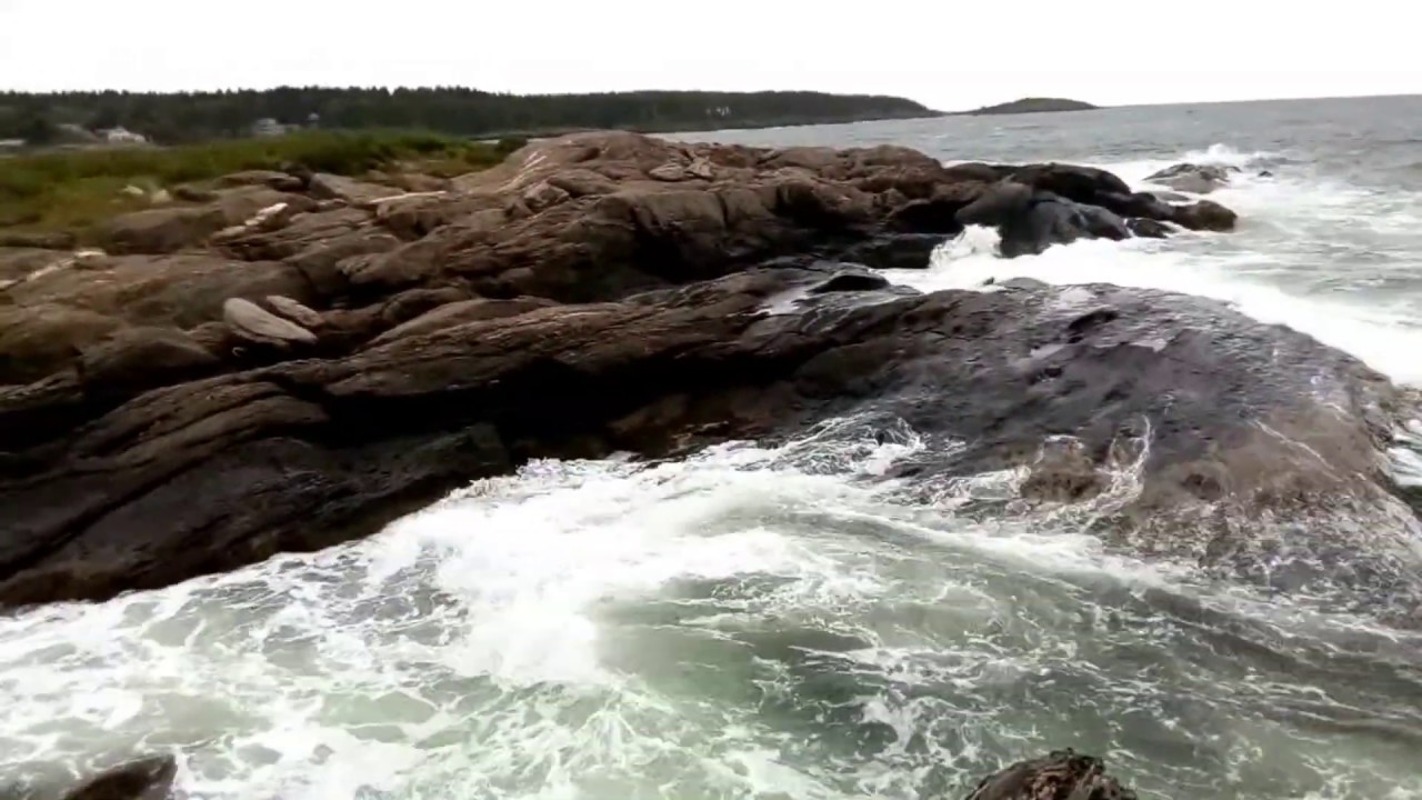 Joe's Head     Hermit Island Maine