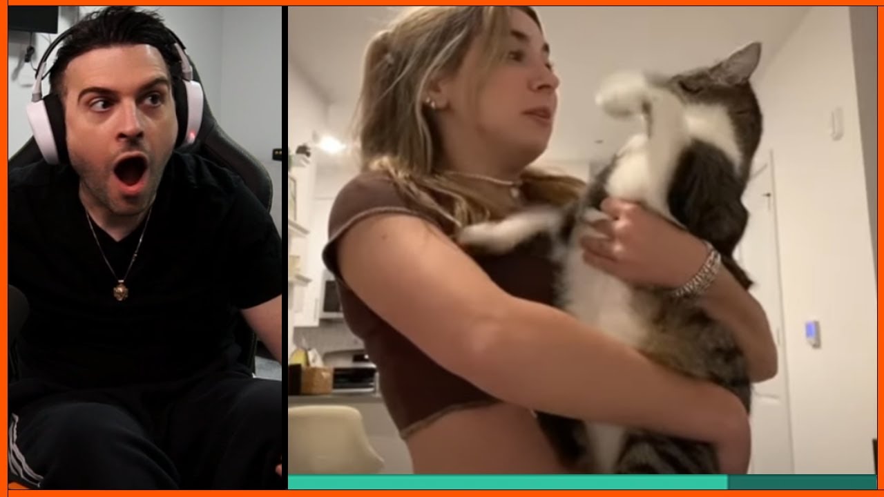 Мы смеемся и реагируем на БЕЗУМНУЮ медиа-публикацию, которую вы отправляете #55