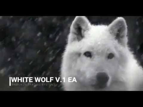 WHITE WOLF V.1 EA - YouTube