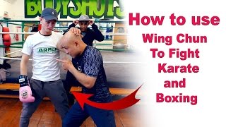 How to use wing chun to fight karate and boxing screenshot 2