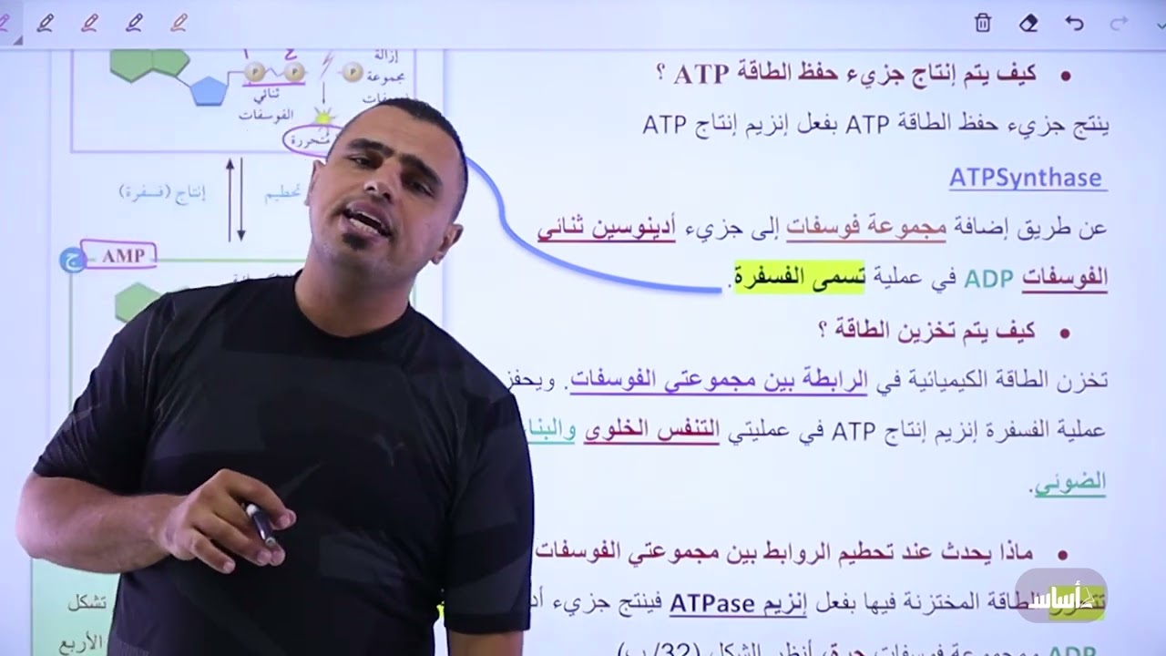 012 الانزيمات وجزيئات حفظ الطاقة ATP || جزيئات حفظ الطاقة ATP ||  الاحياء 🧬🧠  ||⛔️ توجيهي 2006