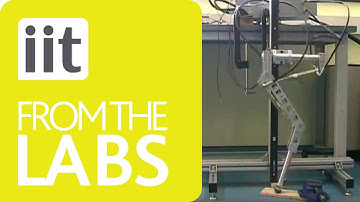 HyQ Robot - Hopping Leg Prototype