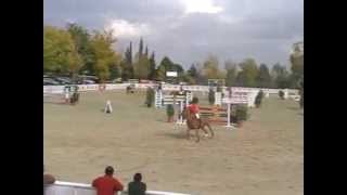 201111013 mpeg