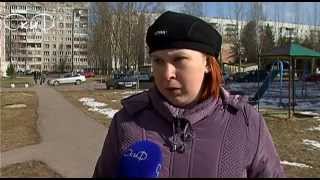 Дело об убийстве собаки Дело об убийстве собаки