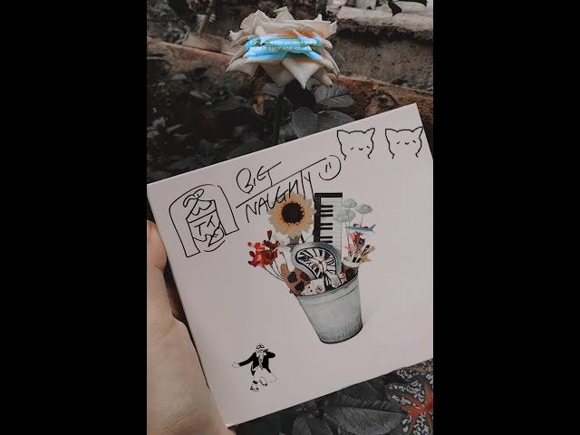 BIG Naughty Bucket List サイン入り アルバム BIG Naughty Bucket List サイン入り アルバム BIG Naughty Bucket