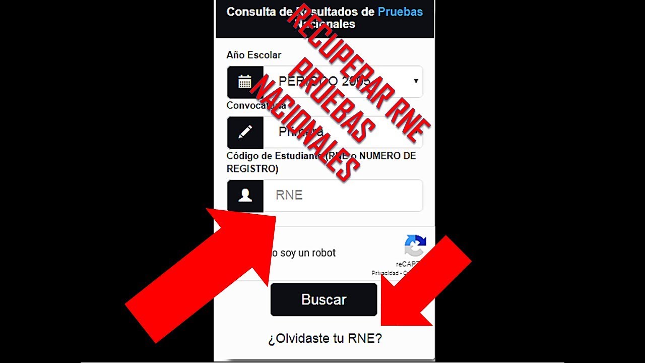 COMO RECUPERAR RNE PRUEBAS NACIONALES - YouTube