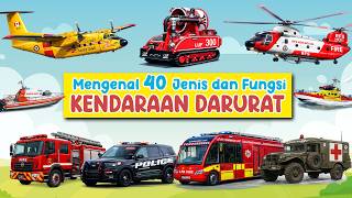 Learning About 40 Emergency Vehicles 🚑🚒🚓 | Learn Emergency Vehicle Names for Kids