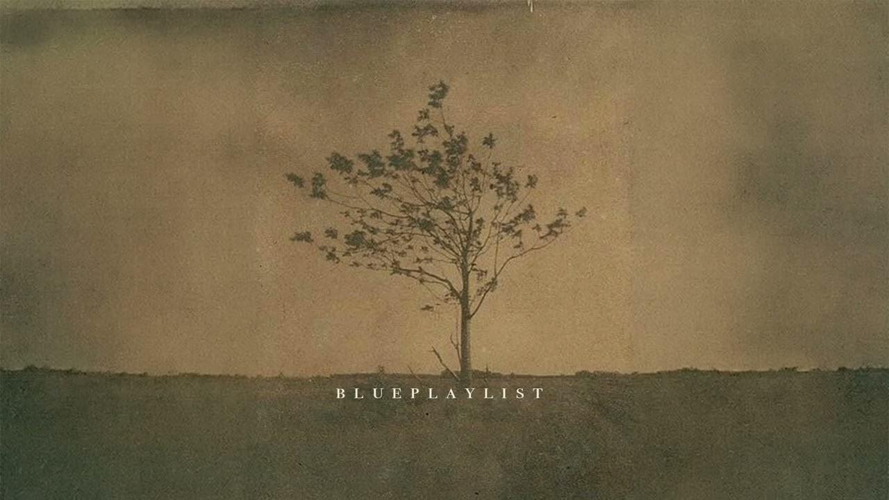 [playlist] 다정한 마음의 숲