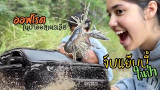 Ep.194 พาเด็กๆไปออฟโรดในป่าออสเตรเลีย Off-road 4x4