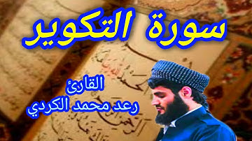 سورة التكوير - القارئ رعد محمد الكردي