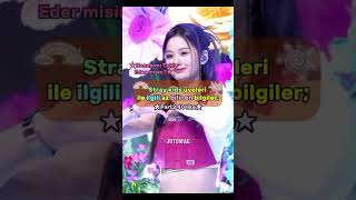 Stray Kids Üyeleri Ile Ilgili Az Bilinen Bilgiler Şfetteyiz