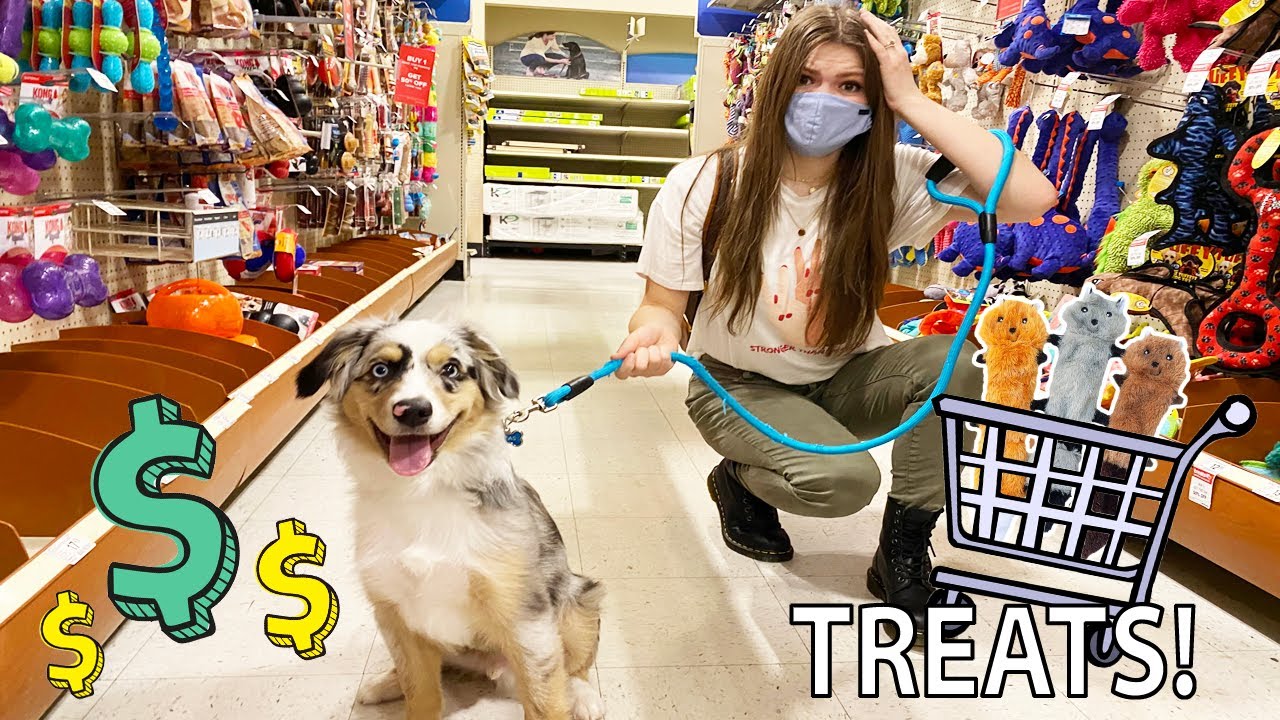 Buying My Sister's Dog Atlas Everything He Touches!