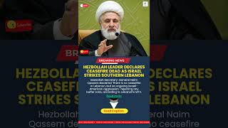 Hezbollah leader declares ceasefire dead as Israel strikes southern Lebanon #breakingnews shorts