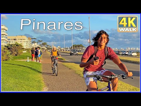 【4K】WALK Punta del Este Maldonado URUGUAY Travel 4k video UY