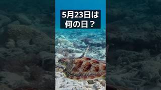 5月23日は世界カメの日｜かわいいだけではない、カメの現実