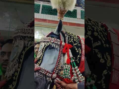 Shabi Zuljanah Sabir Badshah Mochi Gate Lahore