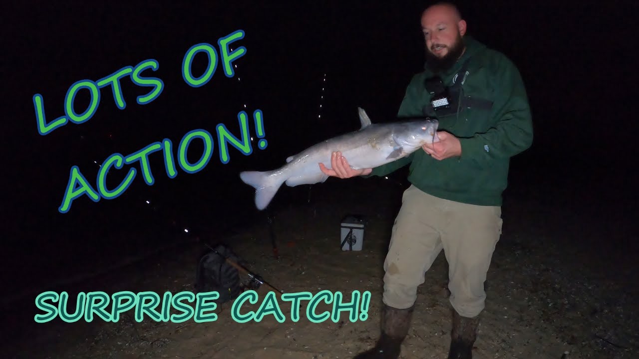 SURPRISE Catch At A NEW Place! BEACH CATFISHING! YouTube