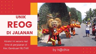 Download Mp3 Atraksi Reog di Jalanan Blitar by h@dhie Gudang lagu Download Mp3 Atraksi Reog di Jalanan Blitar by h@dhie