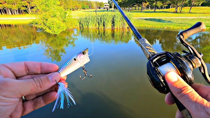 Fishing Big Worms for Giant Bass! 