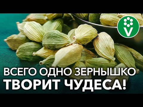 Video: Кардамон