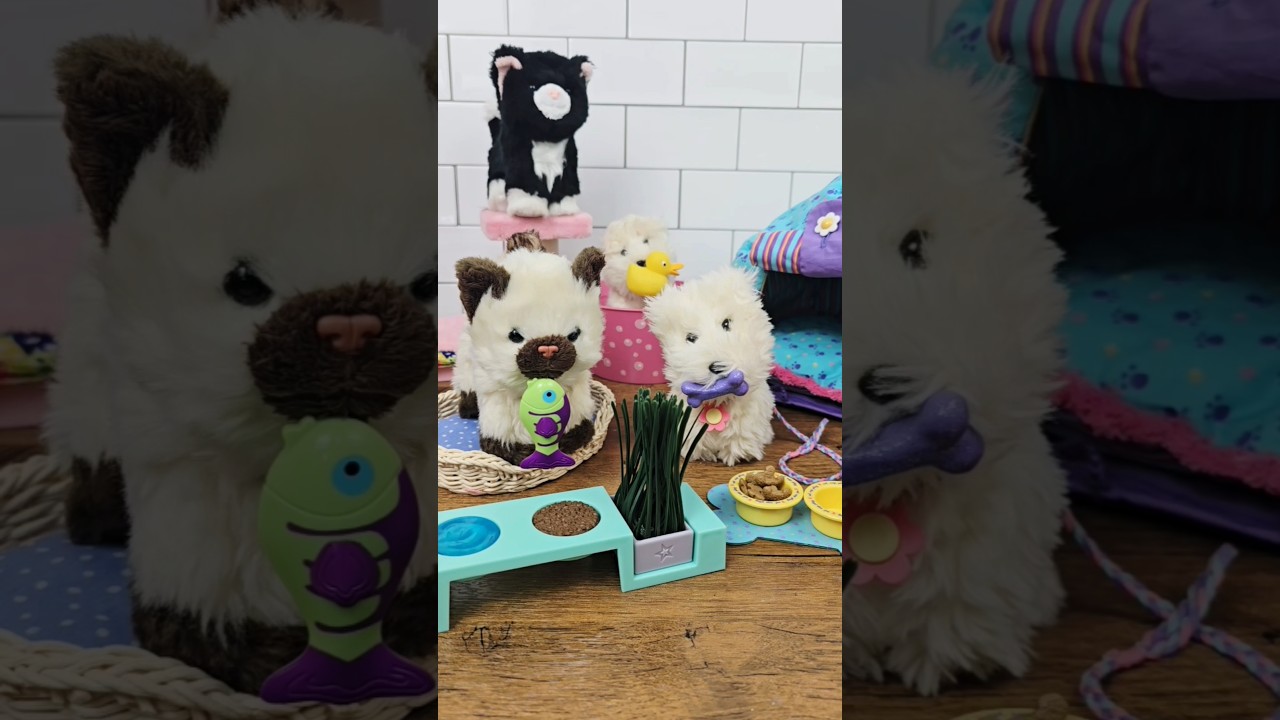 American Girl Pet Sets 
