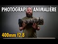 Mon objectif prfr pour la photographie animalire le 400mm f28