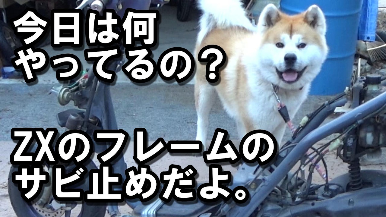 少しサビがあります AF35ライブディオZXのフレームと燃料タンクの錆止め作業 - YouTube
