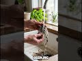 😱 I Turned My Apartment into a Mini Farm in Pakistan! 🇵🇰🌱