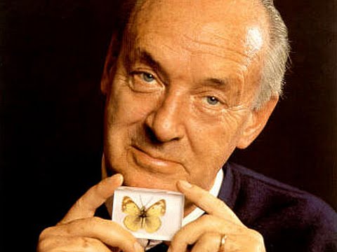 Video: Koji Je Hobi Imao Vladimir Nabokov?