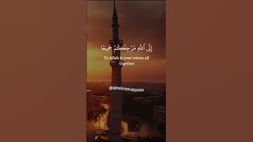القارئ مشاري راشد العفاسي 😌يا أيها الذين آمنوا عليكم أنفسكم...{105}🤲 سورة المائدة - Surah Al-Maaidah