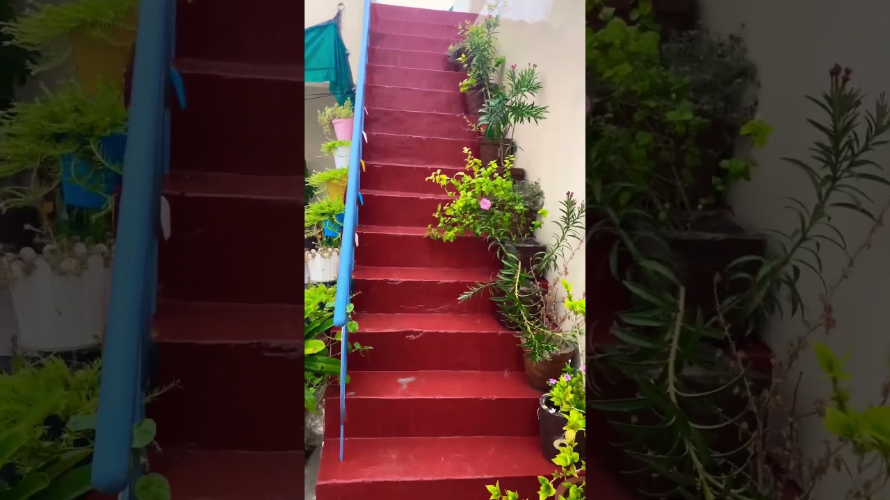 My small beautiful balcony tour 