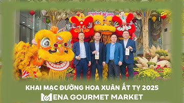 🌸KHAI MẠC ĐƯỜNG HOA XUÂN ẤT TỴ 2025 TẠI MENAS MALL 🌸