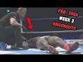MMA & Boxing Knockouts February 2026 | Week 3 Highlights