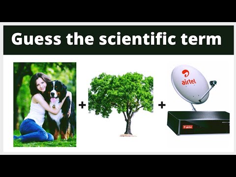 Guess the SCIENTIFIC TERM ?‍??‍? by connecting the images |Connexion game in english?|