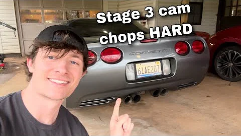 BTR Stage 3 Cam WOKE UP My C5 Corvette