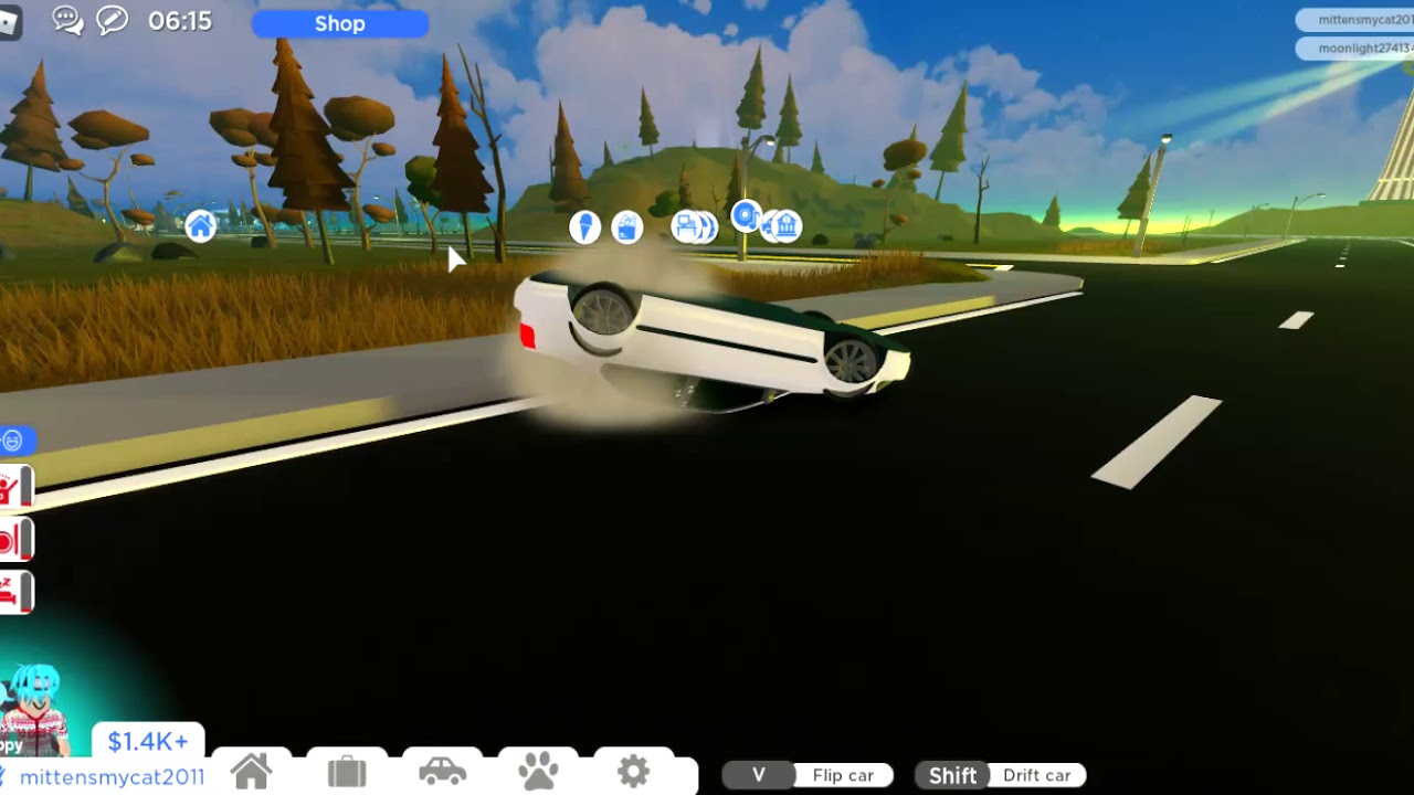 what happened to my car in roville... YouTube