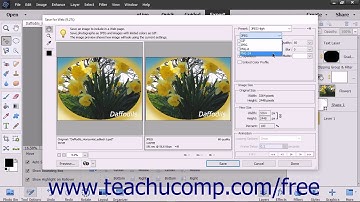 Photoshop Elements 15 Tutorial The Save for Web Dialog Box Adobe Training