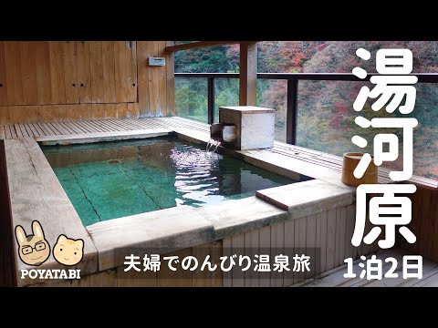 【温泉＆グルメ】1泊2日｜お魚ランチ/山翠楼 SANSUIROU/ルームツアー【ぽや旅】#Vlog #湯河原 #温泉