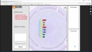 Building Dna Getting Started With The Gizmo Youtube