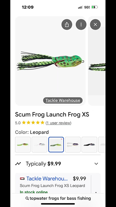 Which one is best for bass??