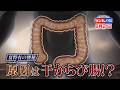 ~干からび腸に潤いを!~名医直伝! 夏の便秘対策『ゲンキの時間』6/21(日)【TBS】