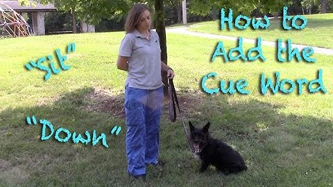 How to Add the Cue - NBS Episode #2