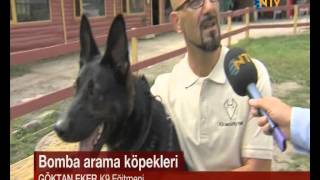 Bomba arama köpekleri nasıl eğitiliyor?