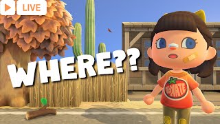 🔴 Planning Where Everything Will Go | Western Farmcore Island | Animal Crossing New Horizons | ACNH