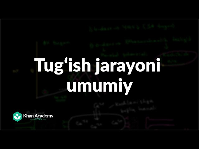 Brunettalar yaxshi sifatli porno Jinsiy aloqa paytida ayollarga eng yoqadigan pozitsiyalar