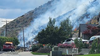 Burn scar from Methow Fire to undergo native reseeding