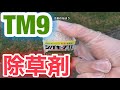 【芝生壊滅・TM9】44日目　除草剤シバキープⅡを散布　悲劇の始まり