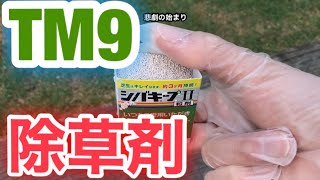 【芝生壊滅・TM9】44日目　除草剤シバキープⅡを散布　悲劇の始まり