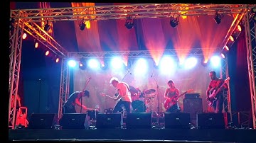 Molecules To Minds - I Am A Strange Loop (Live at Jungle Love Festival)