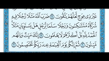 سورة الزمر مكتوبة / ماهر المعيقلي